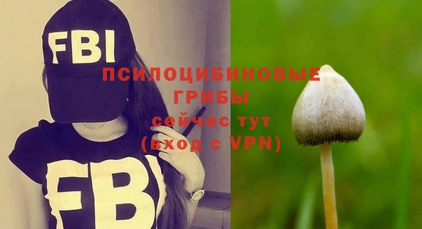 ECSTASY Лиски