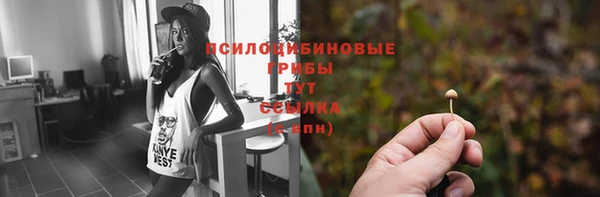 spice Лагань